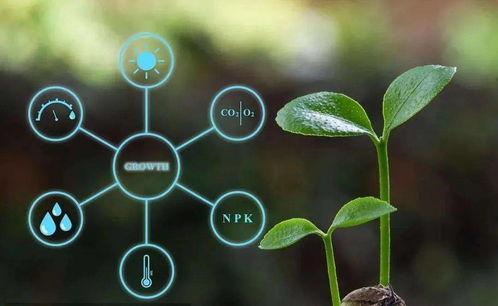 農(nong)業農(nong)村部(bu)數字農(nong)業試(shi)點（遙(yao)感(gan)信(xin)息系(xi)統(tong)方向）申(shen)報(bao)條(tiao)件解析(xi)